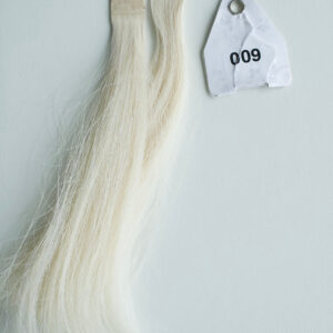 Oslo - Thumbnail Image 2